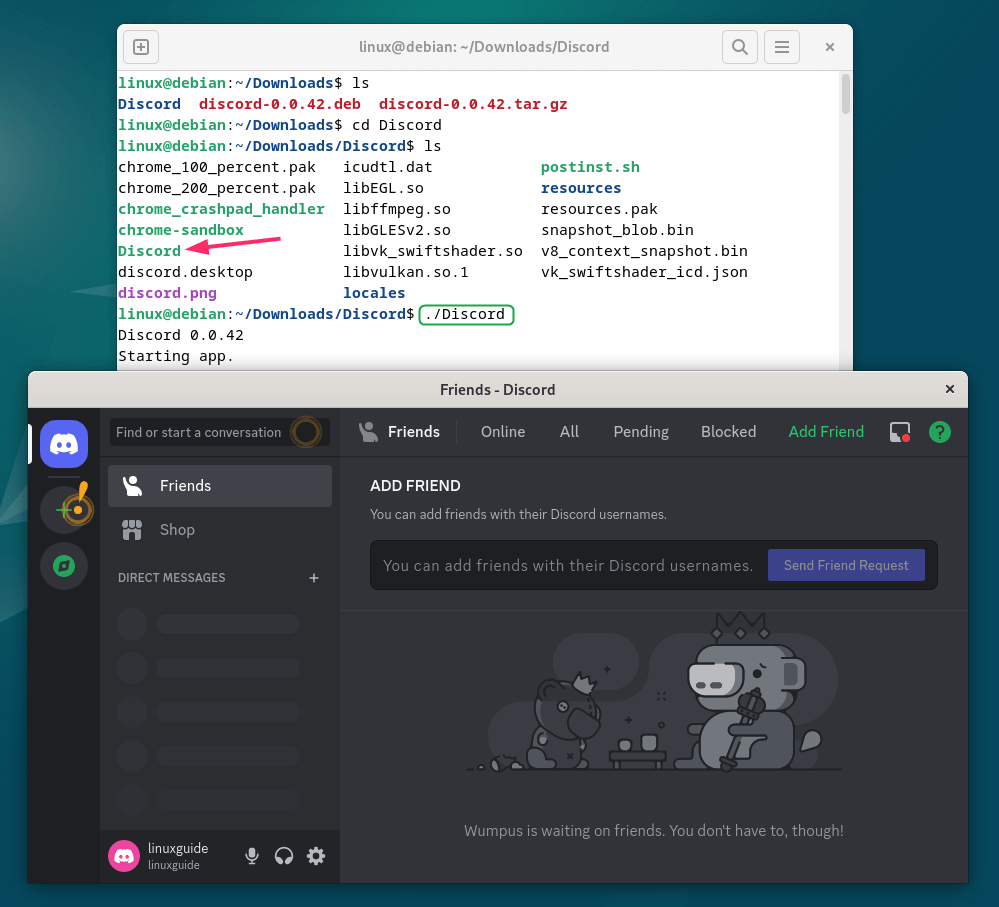 Launching Discord on Debian by executing Discord AppImage file