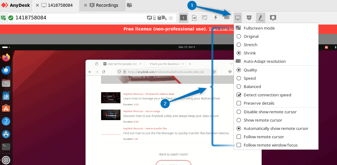 AnyDesk display options 