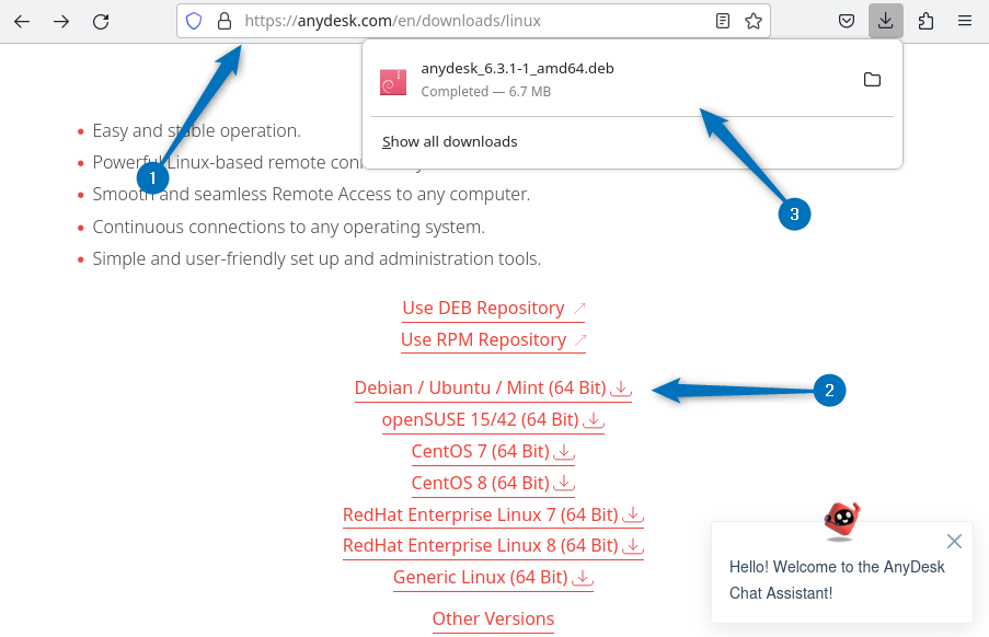 Download AnyDesk Deb File on Debian 12 