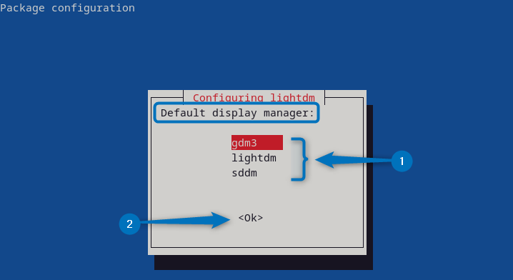 selecting display manager for Xfce on Debian 12