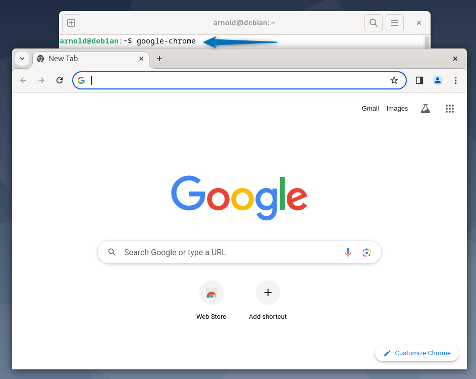 launching Google chrome on Debian 12