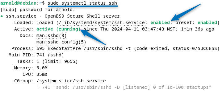 Checking SSH server status on Debian 12