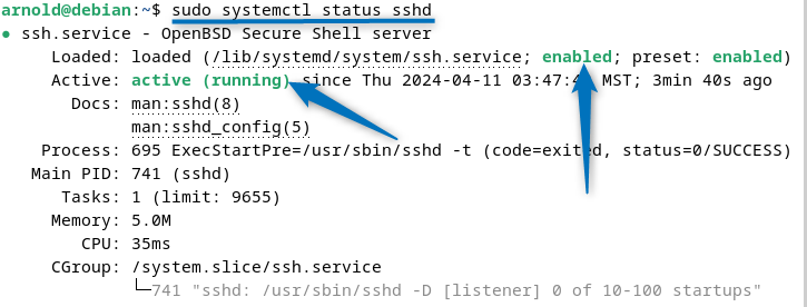 Checking SSH client status on Debian 12