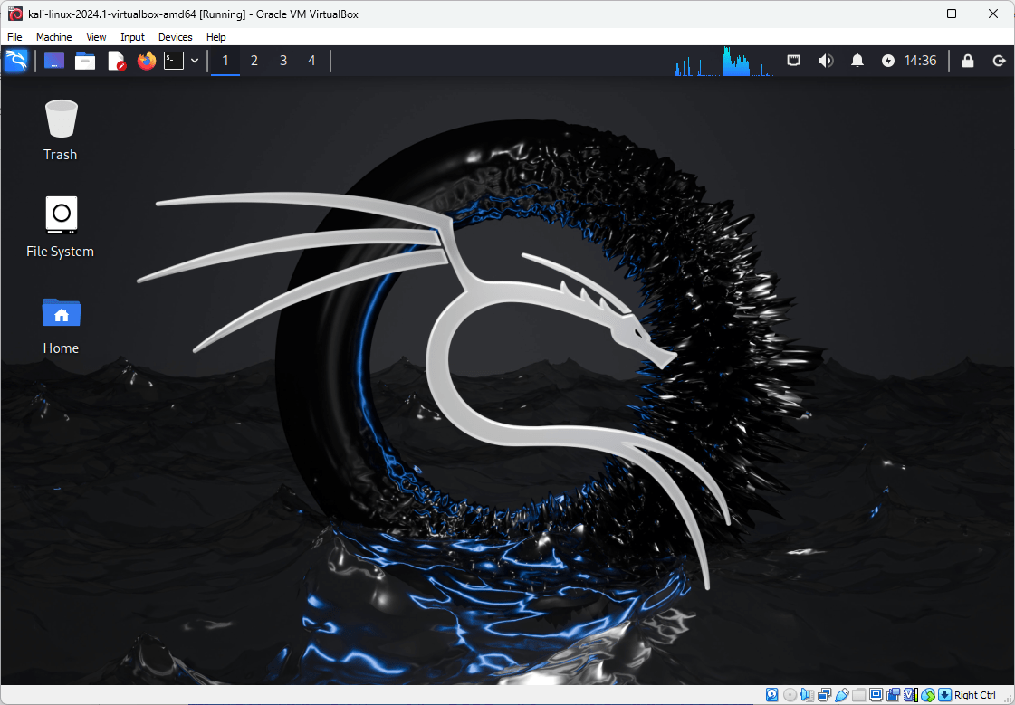 Kali Linux on Virtual Box (interface)