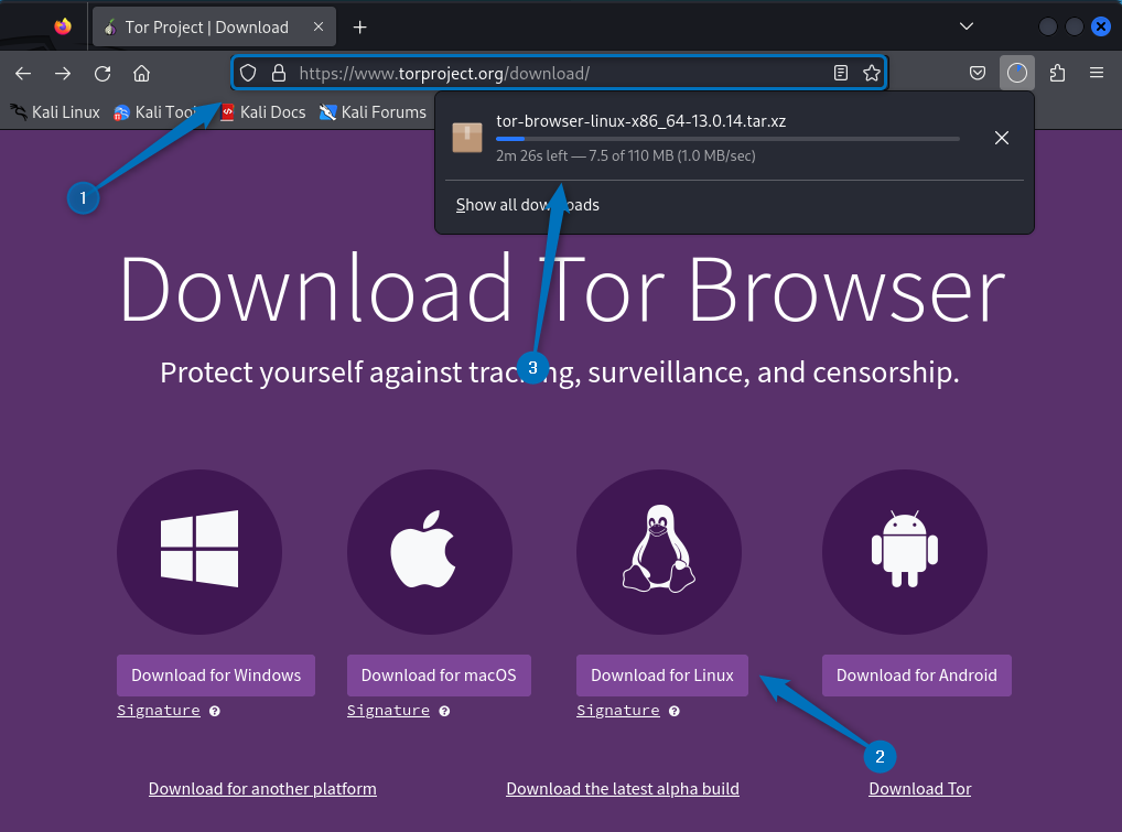 Downloading Tor Browser Tar file on Kali Linux