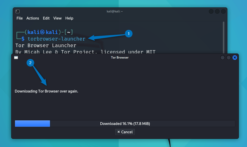 Launching tor browser launcher on kali Linux