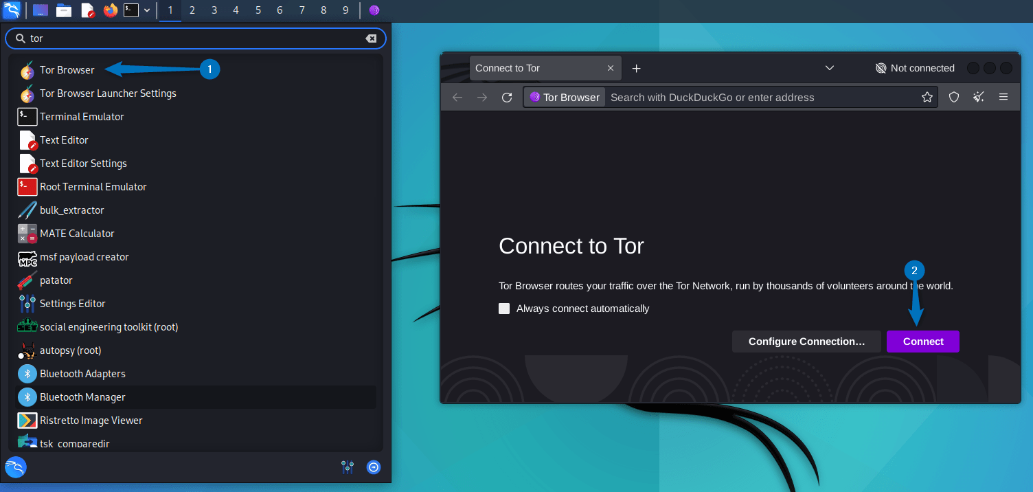 launching Tor browser on Kali Linux from applications menu