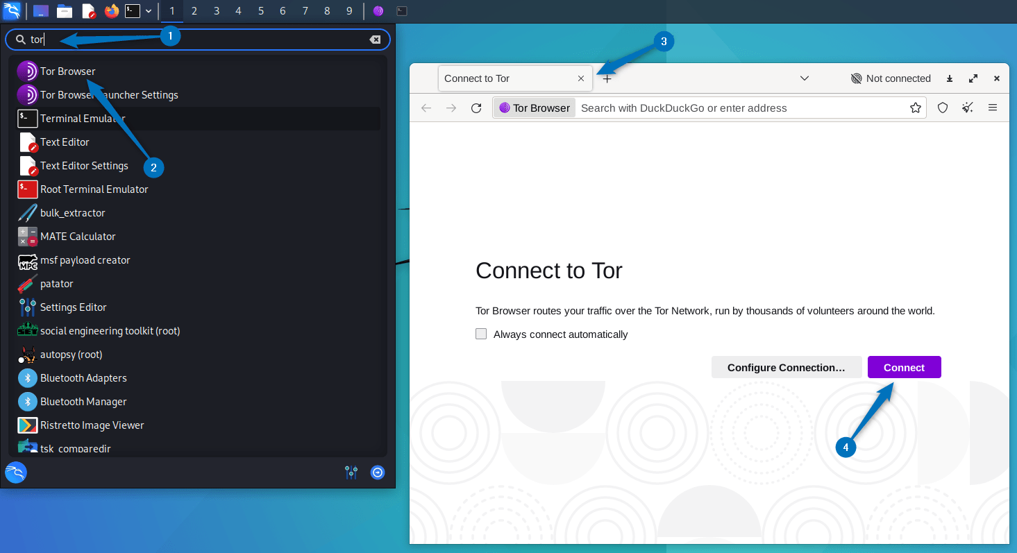 launching Tor browser on Kali Linux from applications menu