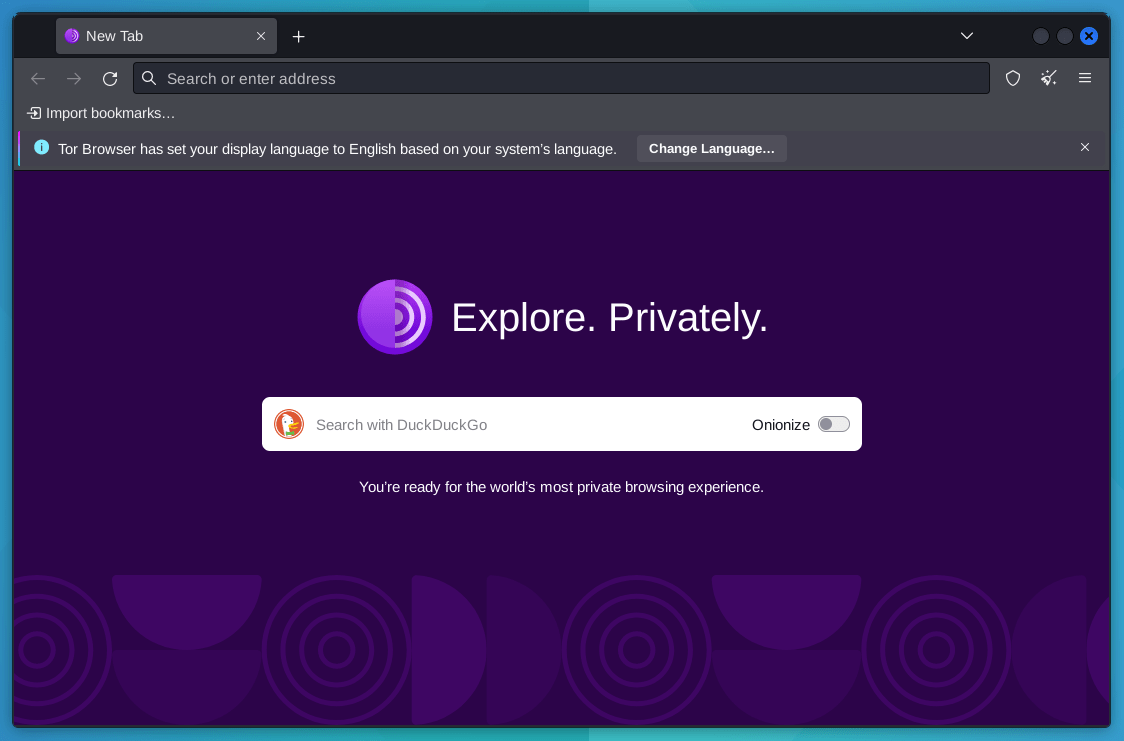 Tor browser on kali Linux after establishing connection with internet