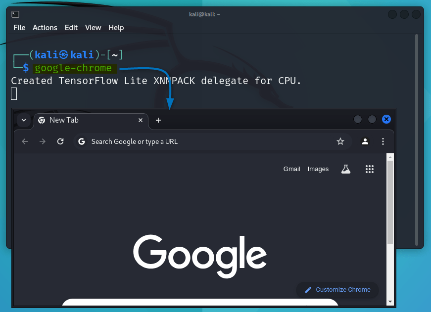 launching Google Chrome in Kali Linux