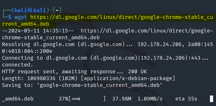 Downloading Google Chrome Deb file in kali Linux through terminal via download link and wget utility