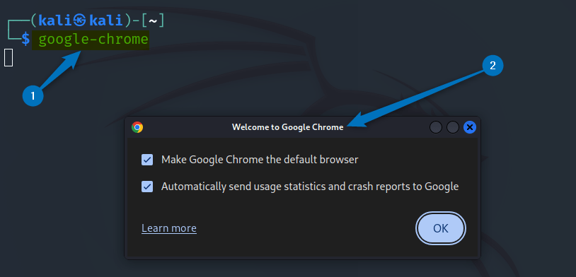 launching Google Chrome on Kali Linux