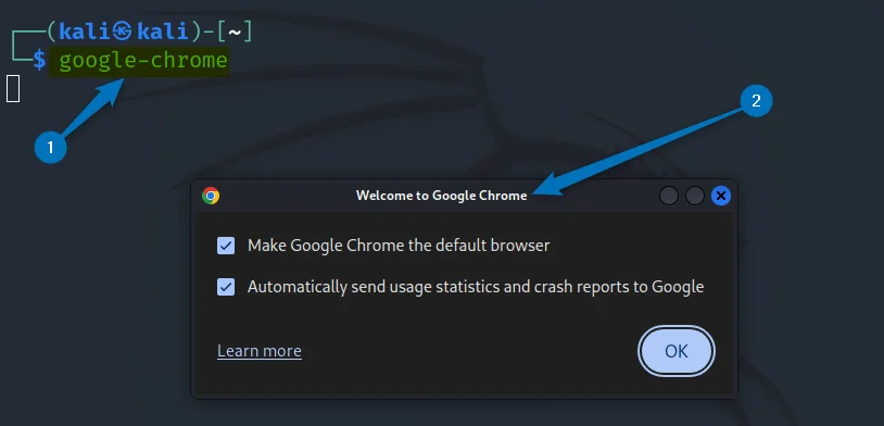 launching Google Chrome on Kali Linux 