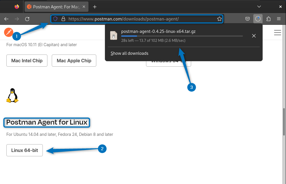 Downloading Postman Agent tar file on Debian 12