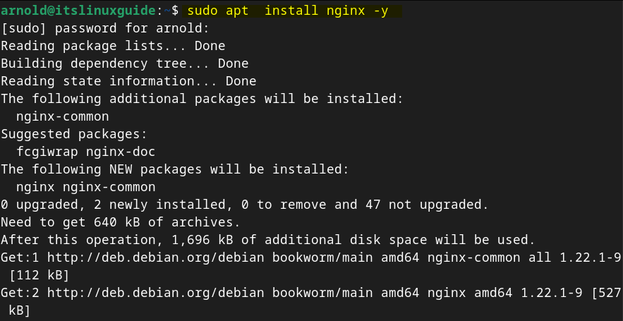 Installing Nginx on Debian using apt package manager