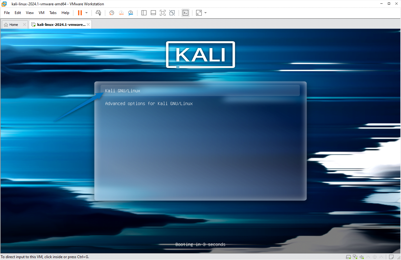 Kali Linux Boot menu on VMware