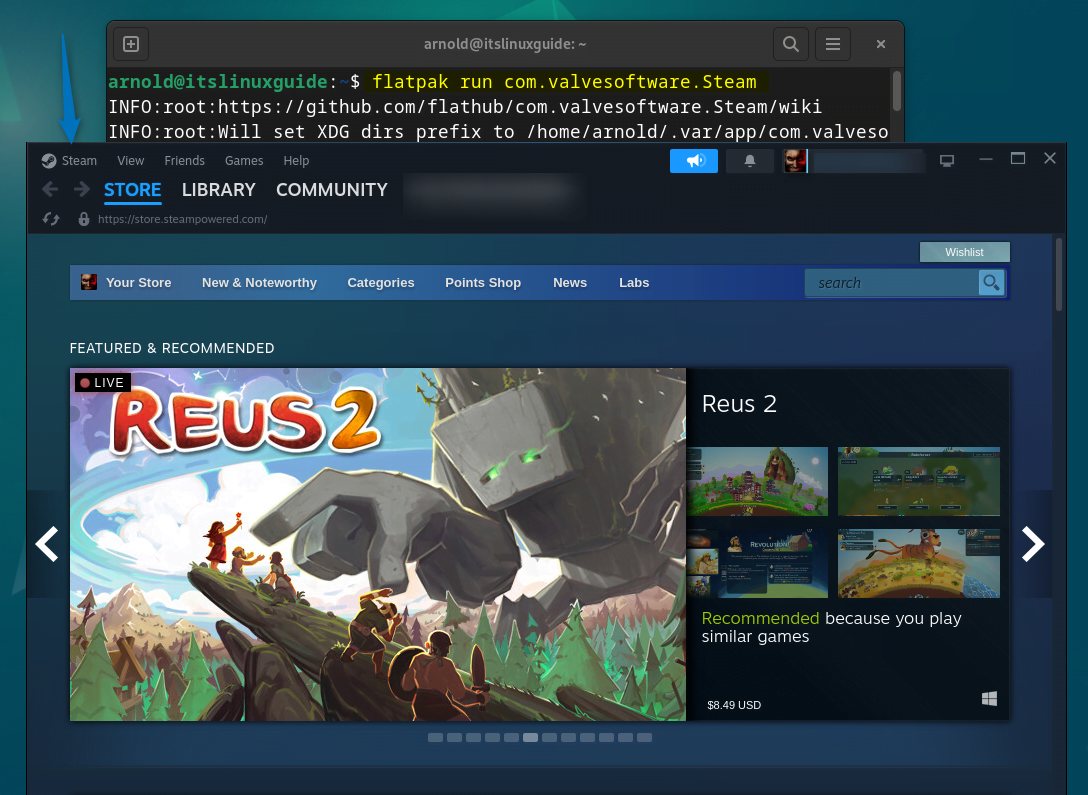 Launching steam on Debian 12 after resolving the 32-bit applications errors