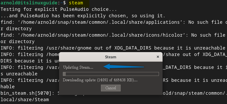 Launching Steam on Debian 12 installed via Snap package manager