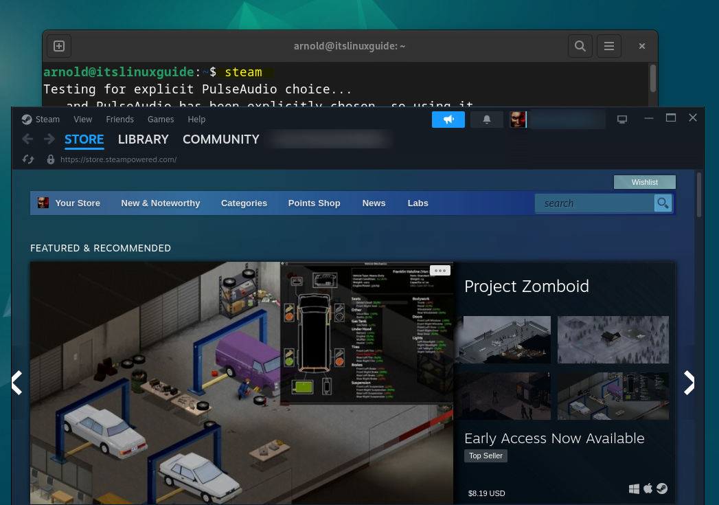 Steam interface on Debian 12