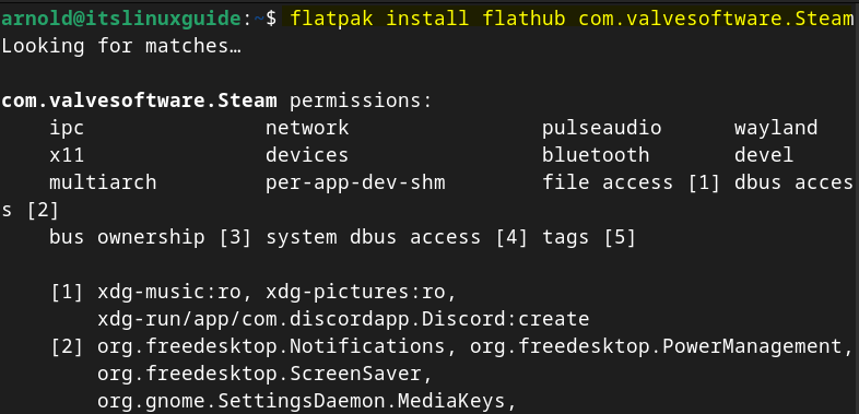 Installing Steam on Debian using Flatpak package manager