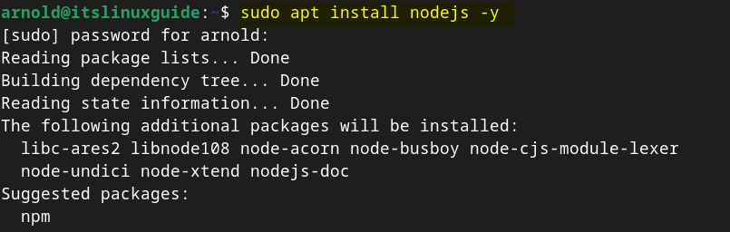 Installing nodejs on Debian 12 using apt package manager