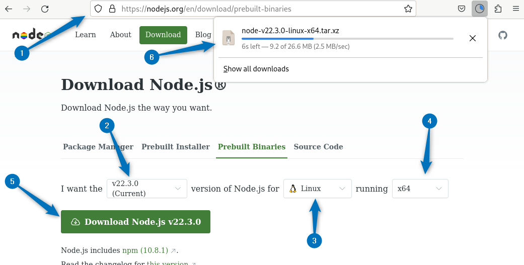 Downloading nodejs pre-built binaries file on Debian 12