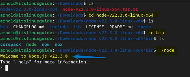 Launching Node.js on Debian by executing the node file in the Node.js pre-built binary file.