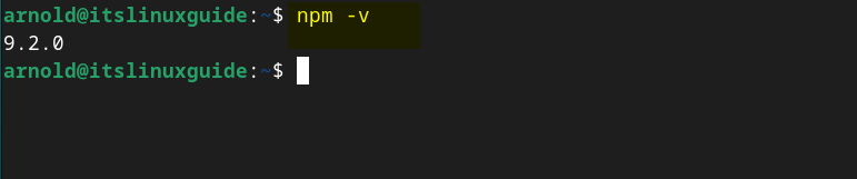 Checking node package manager version to verify its installation via apt package manager on Debian