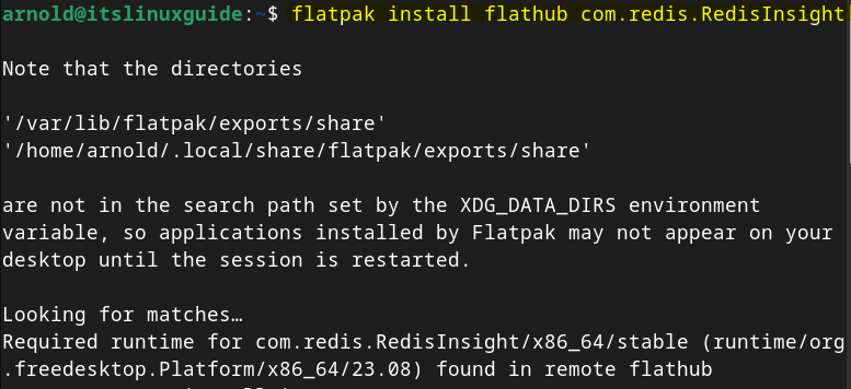 Installing RedisInsight on Debian using Flatpak package manager.