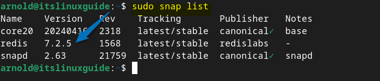 Listing Snap-installed apps on Debian to verify Redis installation via Snap