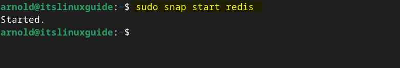Starting Redis service on Debian using Snap package manager.