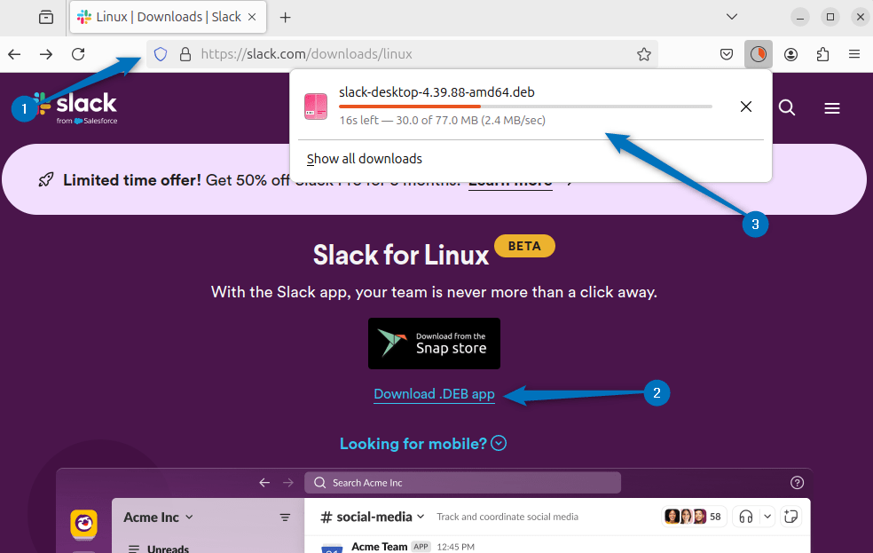 Downloading Slack Deb file on Ubuntu 24.04
