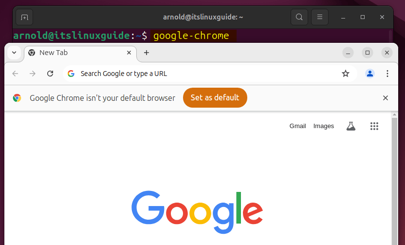 Launching Google Chrome on Ubuntu installed via apt package manager