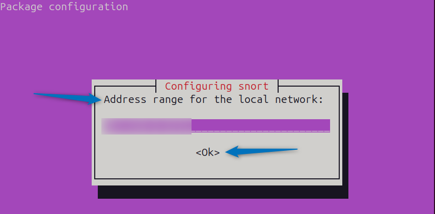 Entering Ubuntu IP address while installing it On Ubuntu via apt