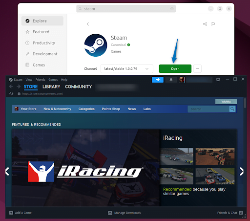 Launching Steam on Ubuntu installed via App Center