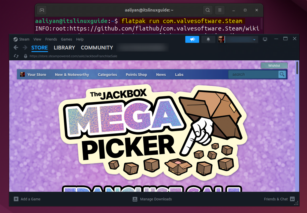 launching Steam on Ubuntu installed via Flatpak app installer