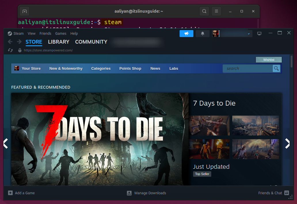 Launching Steam on Ubuntu from Command Line.