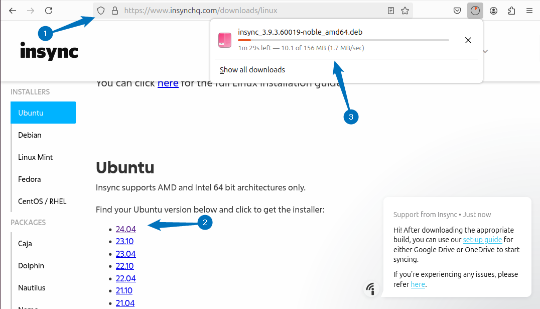 Downloading insync deb file for installing Google Drive on Ubuntu from its official site