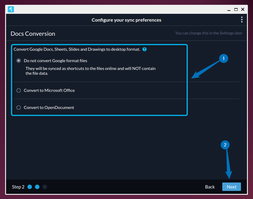 Selecting Docs conversion settings on Insync in Ubuntu for Google Drive