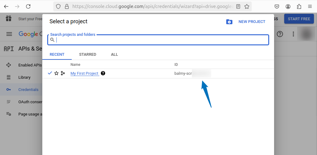 Getting project ID of Google Cloud for setting the app name on Ubuntu for Google Drive Ocamlfuse