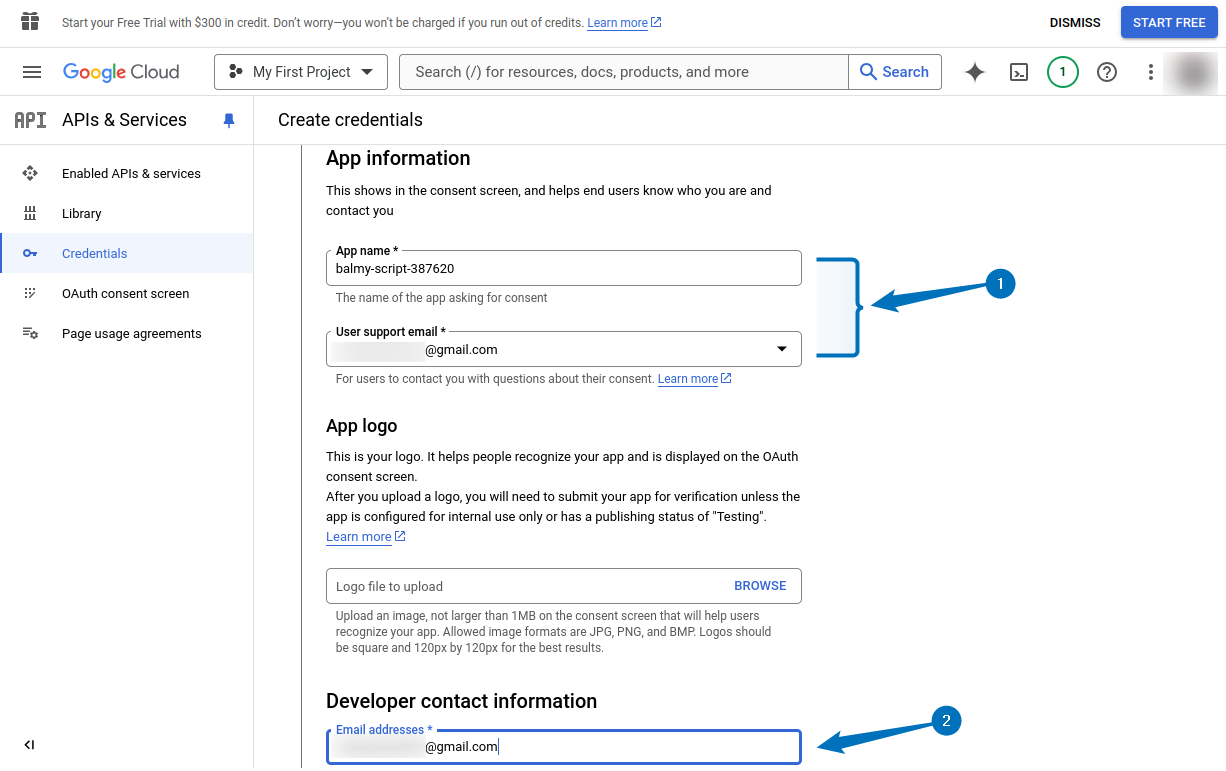 Setting the project ID as app name and adding support and developer email for Google Drive API on Ubuntu for Google Drive Ocamlfuse