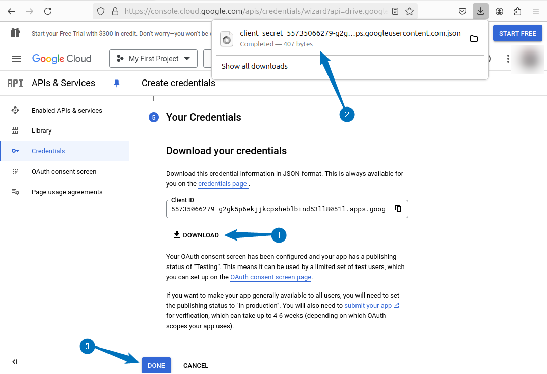 Downloading the file having client ID and secret ID for Google Drive API