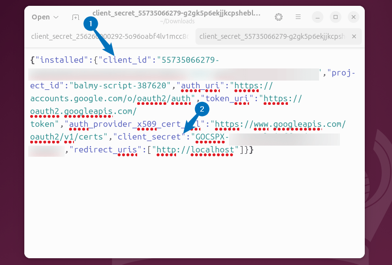 Opening the downloaded file and copying the client ID and Client_secret ID for launching Google Drive Ocamlfuse on ubuntu