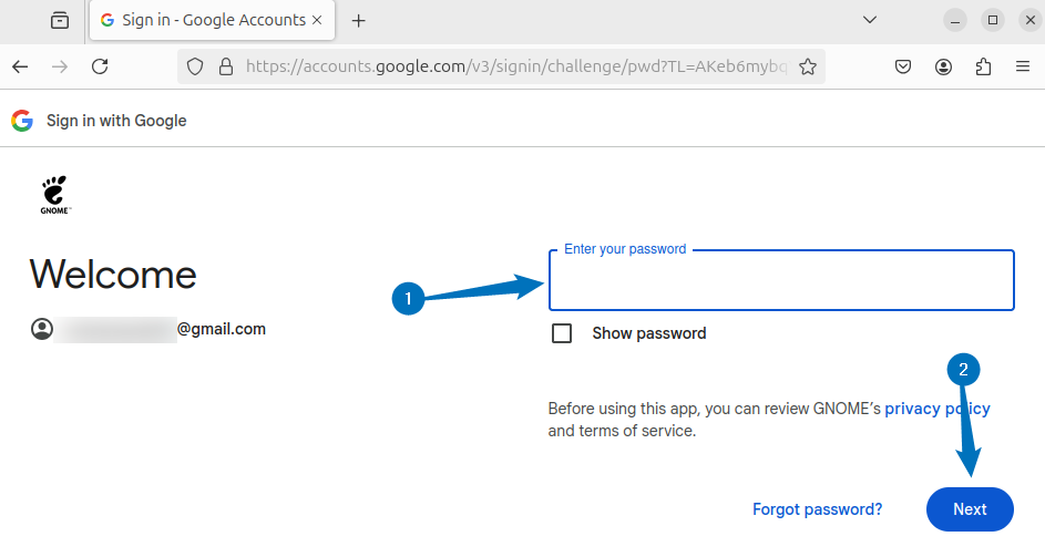Entering the Google email password on Ubuntu for GNOME sign in for Google Drive