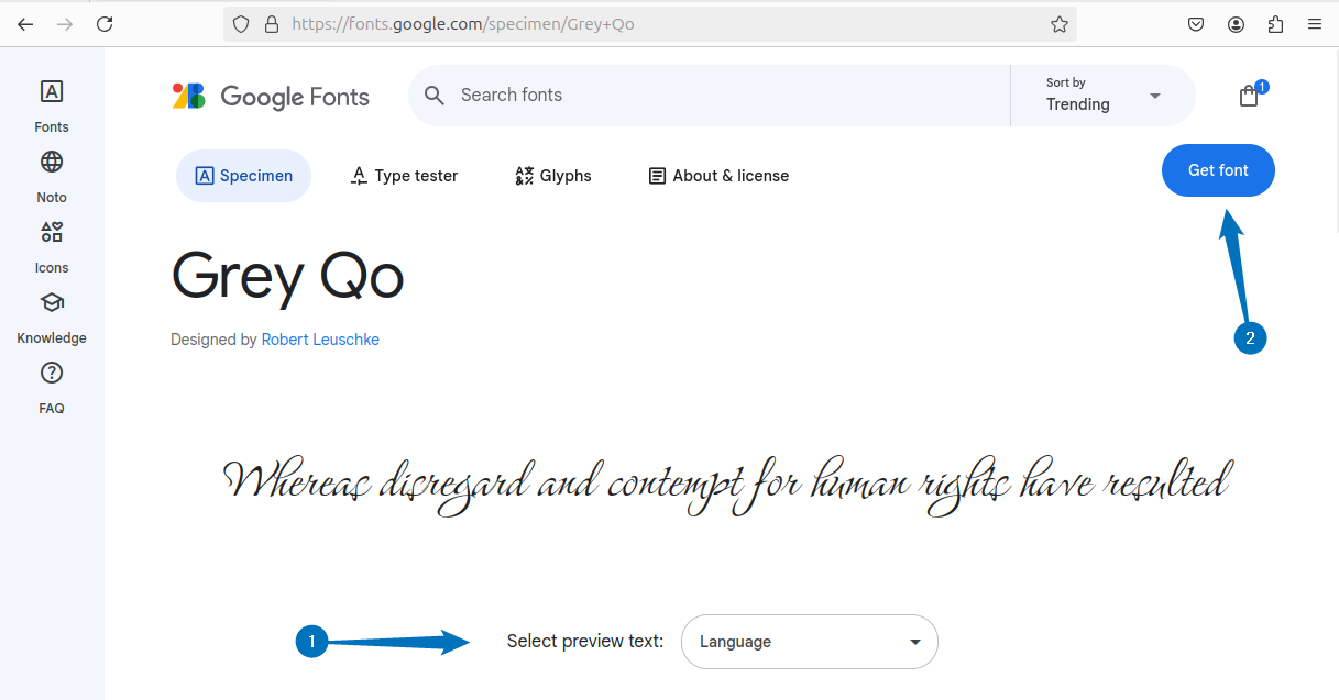 Selecting the desired font from fonts.google website on Ubuntu