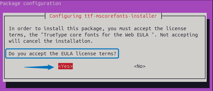 Accepting EULA license agreement on Ubuntu for Microsoft fonts
