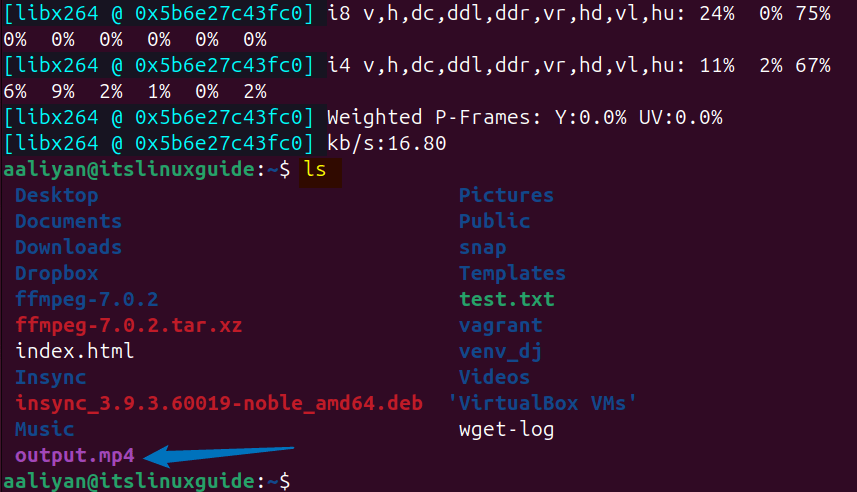 Stopped Screen recording on Ubuntu
