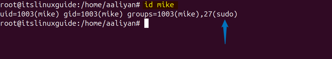 Verify the added sudo user in Ubuntu by checking its ID