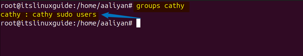 Verifying user group after adding it to sudo group in Ubuntu by listing user group