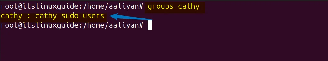 Verifying user group after adding it to sudo group in Ubuntu by listing user group